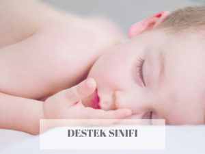 Destek Sınıfı